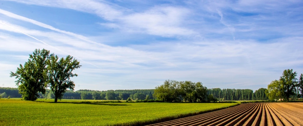 Champ labouré dans un paysage verdoyant sous un ciel bleu