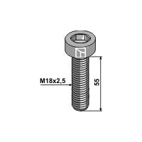 [LS02-TCU-0005] Tornillo "Allen" - M18x2-5 - 12.9 - LS02-TCU-0005