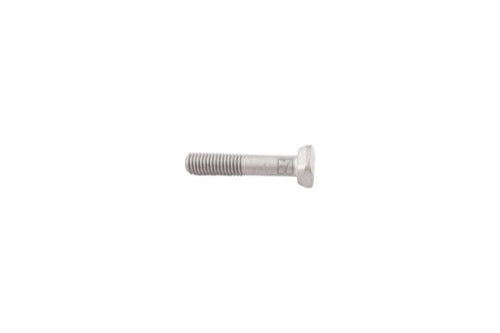 Tornillo con cabeza rectangular - LS04-TRT-091
