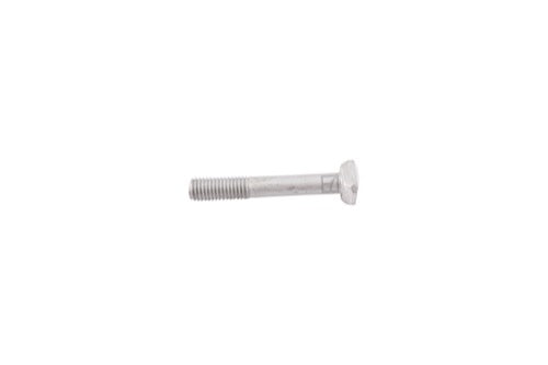 Tornillo con cabeza rectangular - LS04-TRT-092